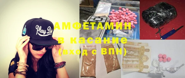 сатива Алзамай