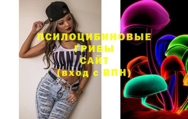 сатива Алзамай